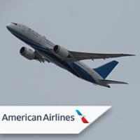 American Airlines image 1